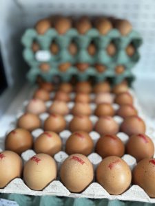 ΑΒΓΑ ΝΕΟΧΩΡΟΥΔΑΣ